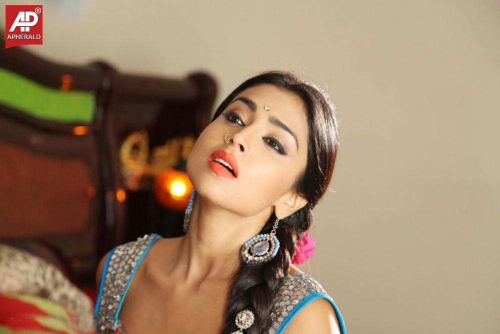 South India Actress Shriya Saree Pics
