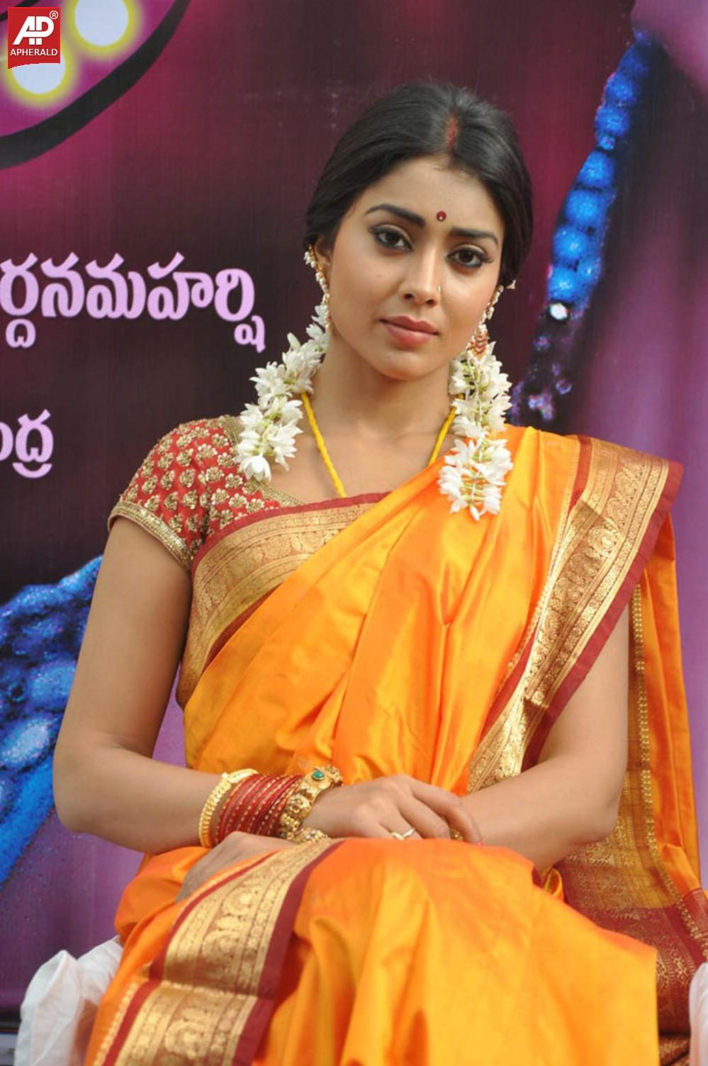 South India Actress Shriya Saree Pics
