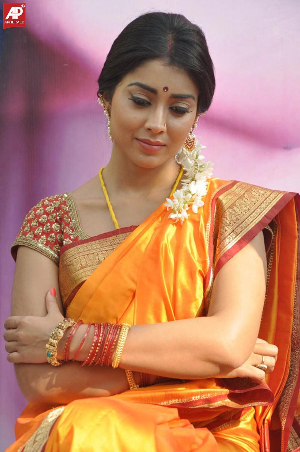 South India Actress Shriya Saree Pics