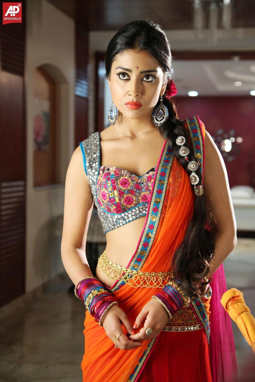South India Actress Shriya Saree Pics