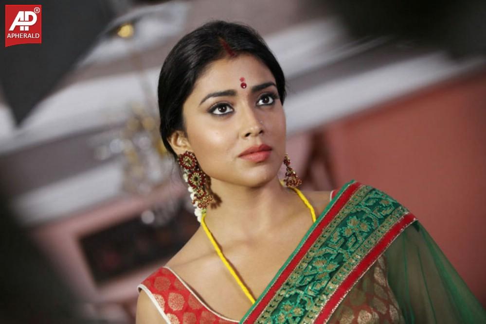 South India Actress Shriya Saree Pics