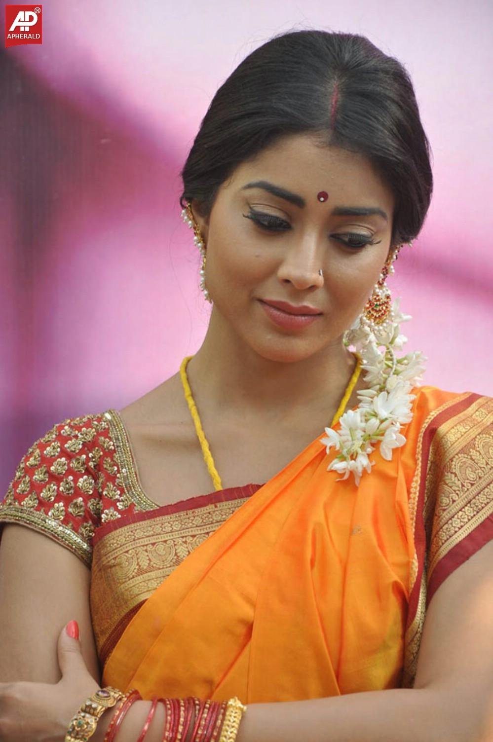 South India Actress Shriya Saree Pics