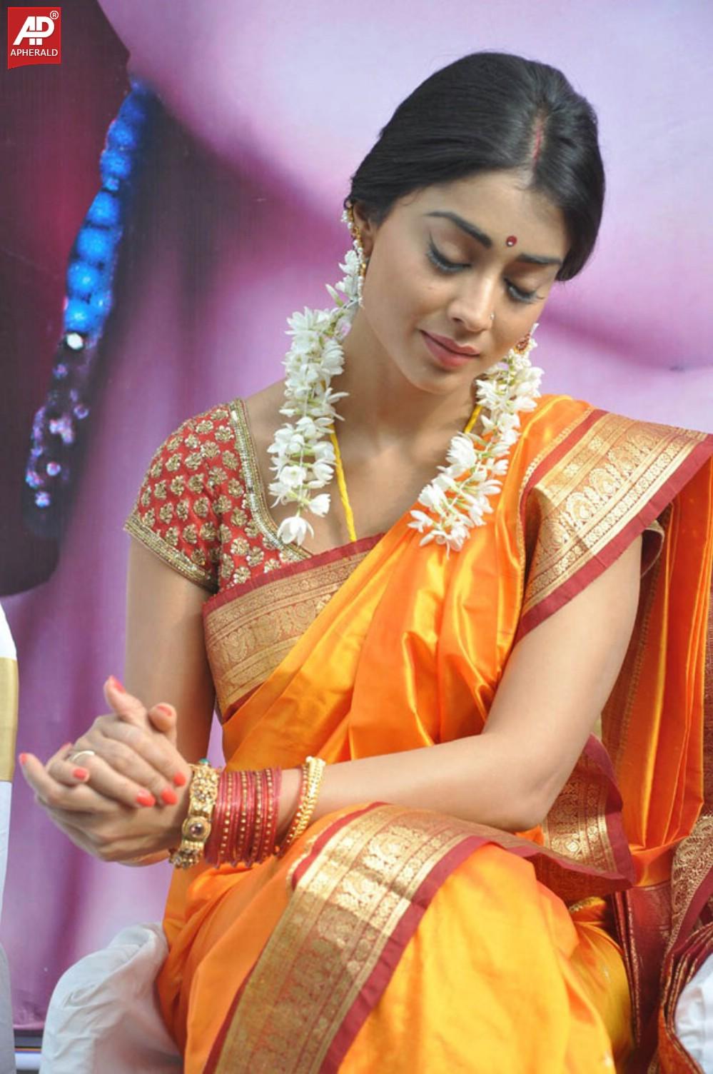 South India Actress Shriya Saree Pics