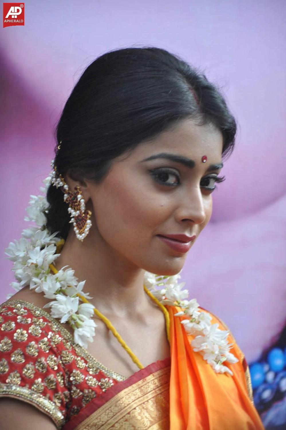 South India Actress Shriya Saree Pics