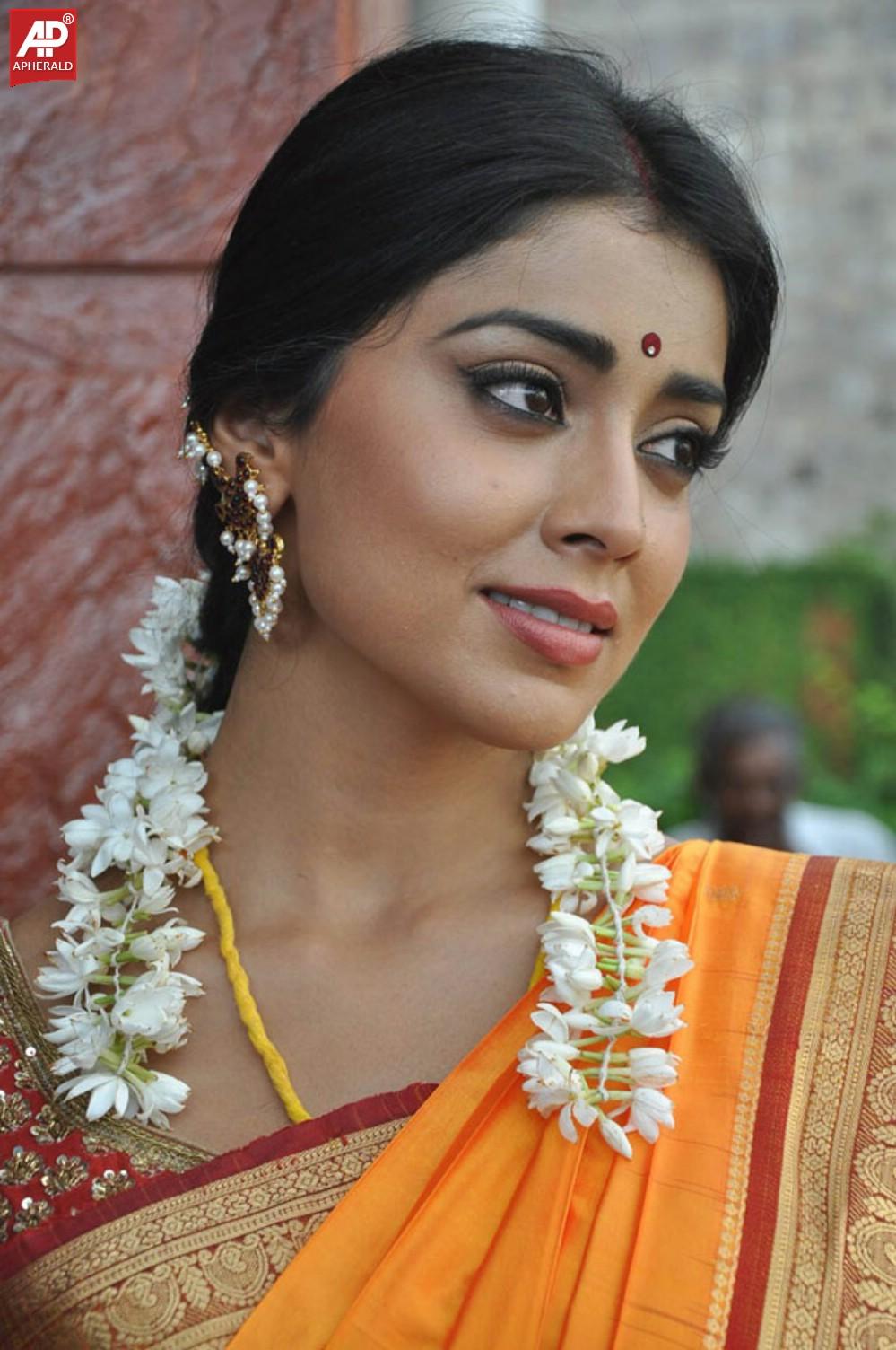 South India Actress Shriya Saree Pics