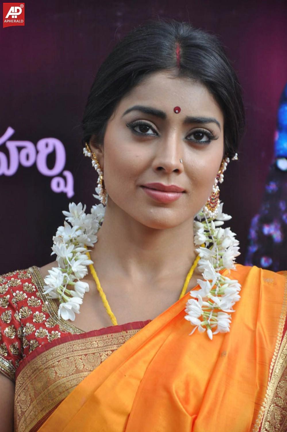 South India Actress Shriya Saree Pics