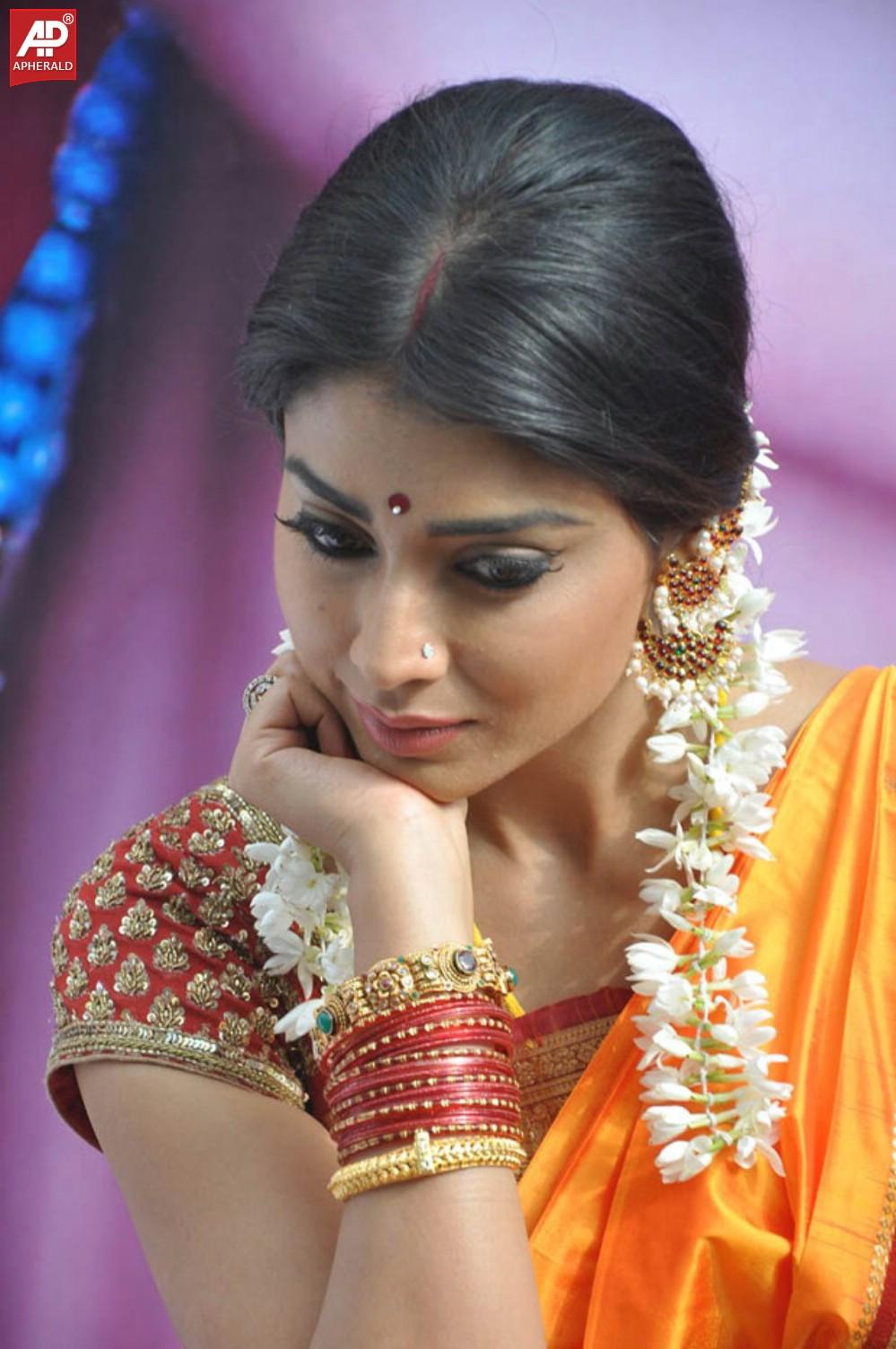 South India Actress Shriya Saree Pics