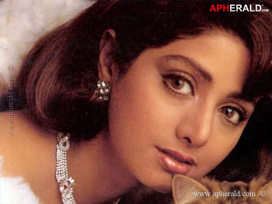 Sridevi Young Photos