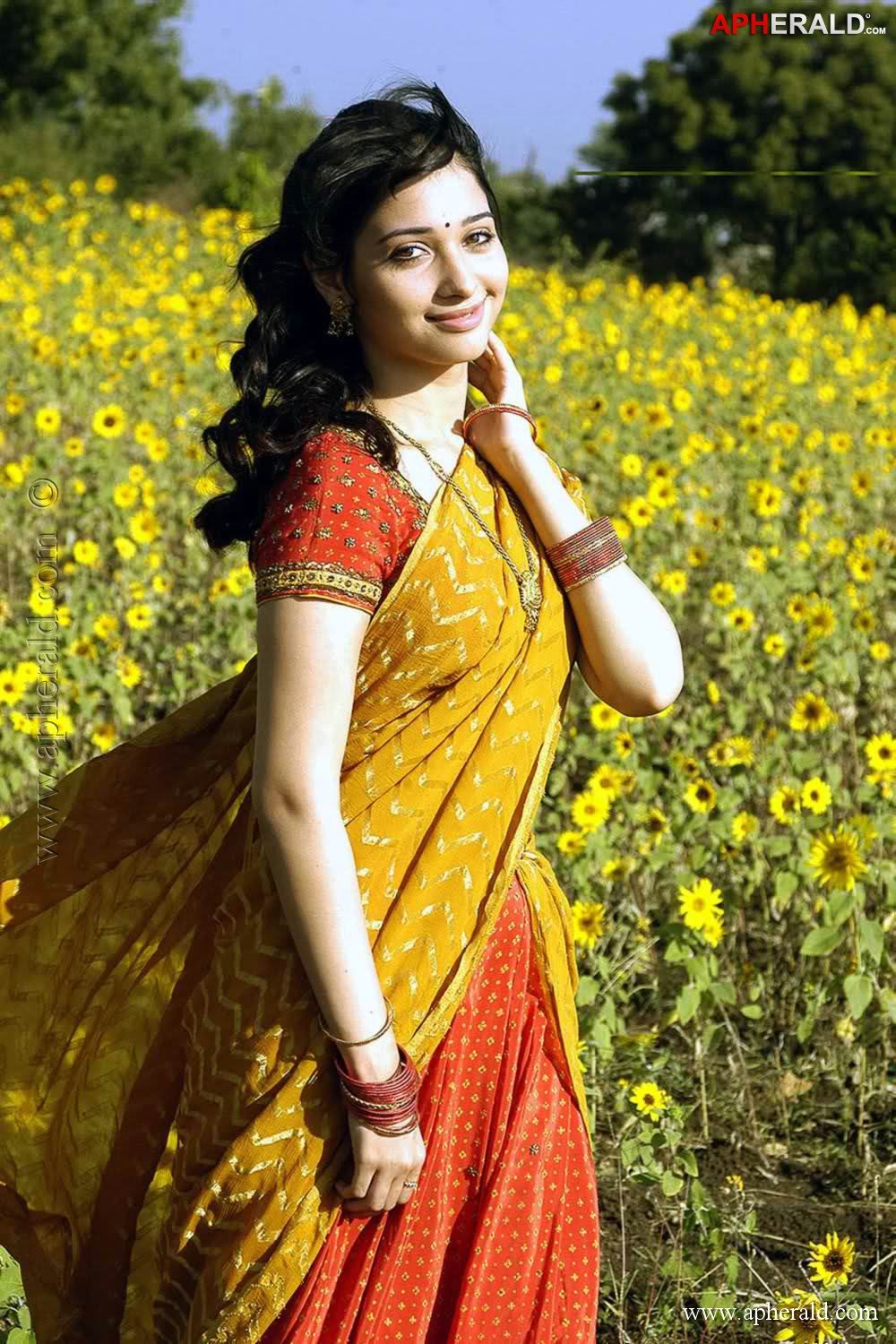 Tamanna in Saree