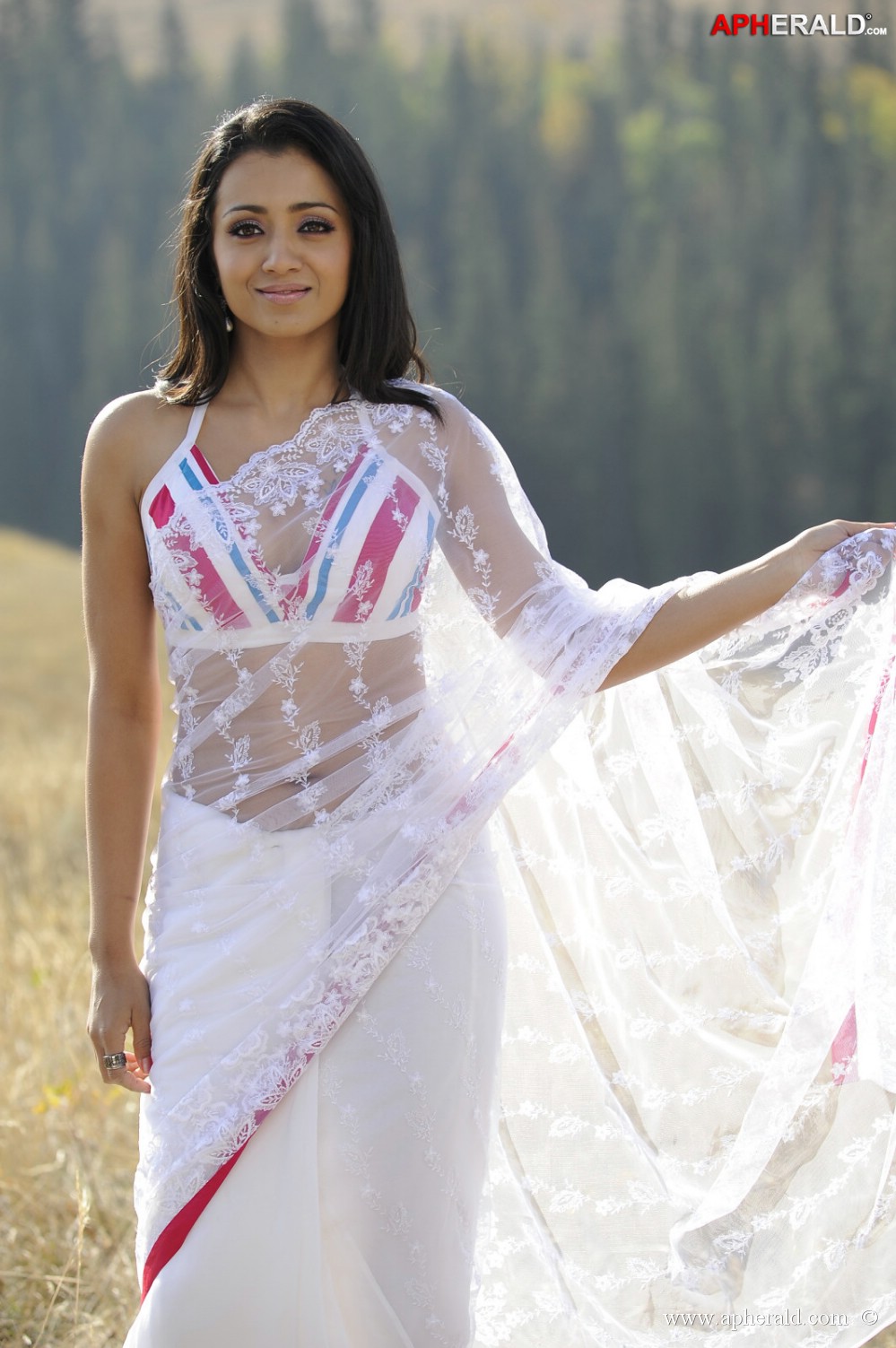 Trisha In Transparent white Saree Stills