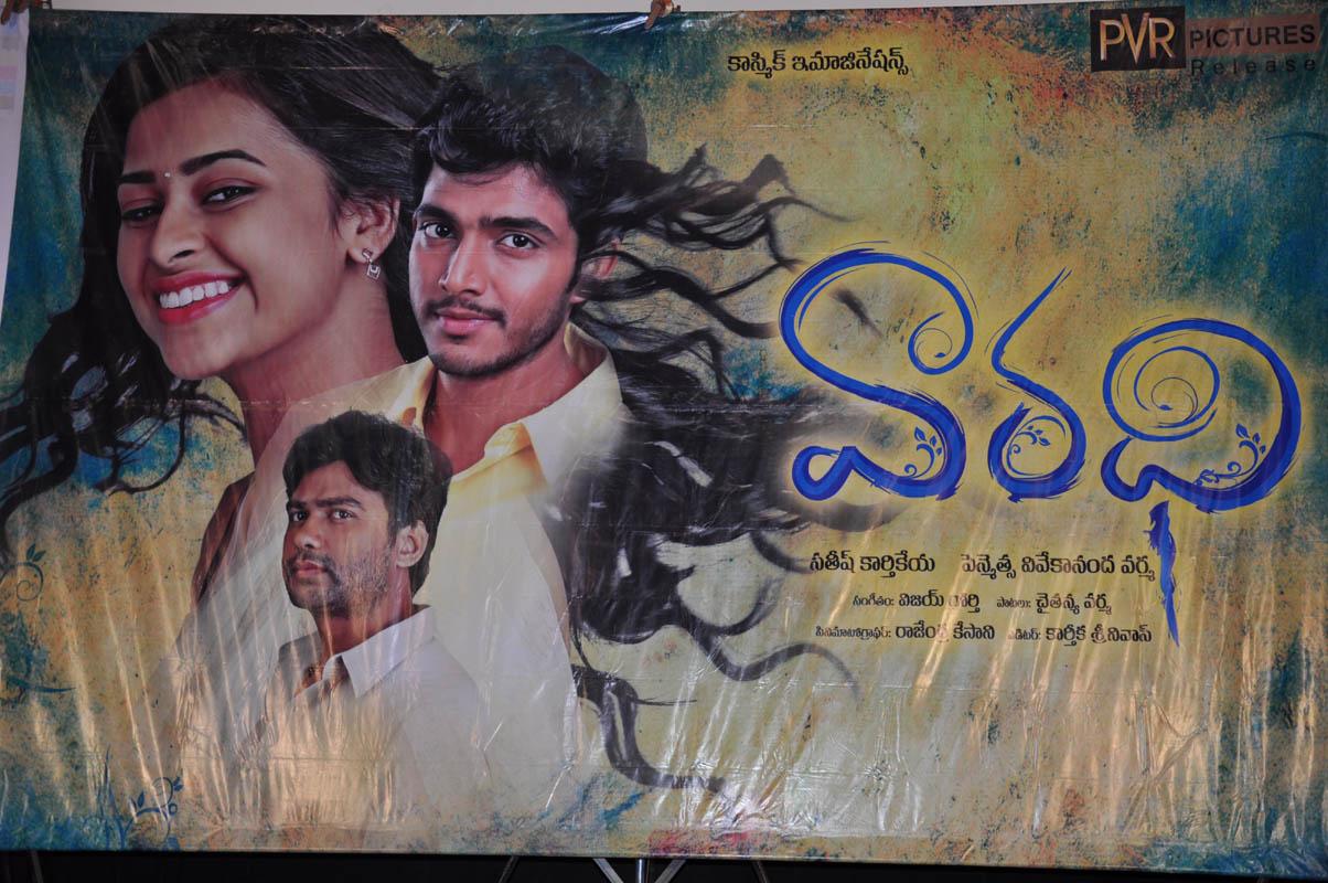 Varadhi movie Teaser Launch