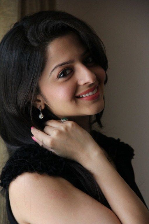 Vedhika Photos