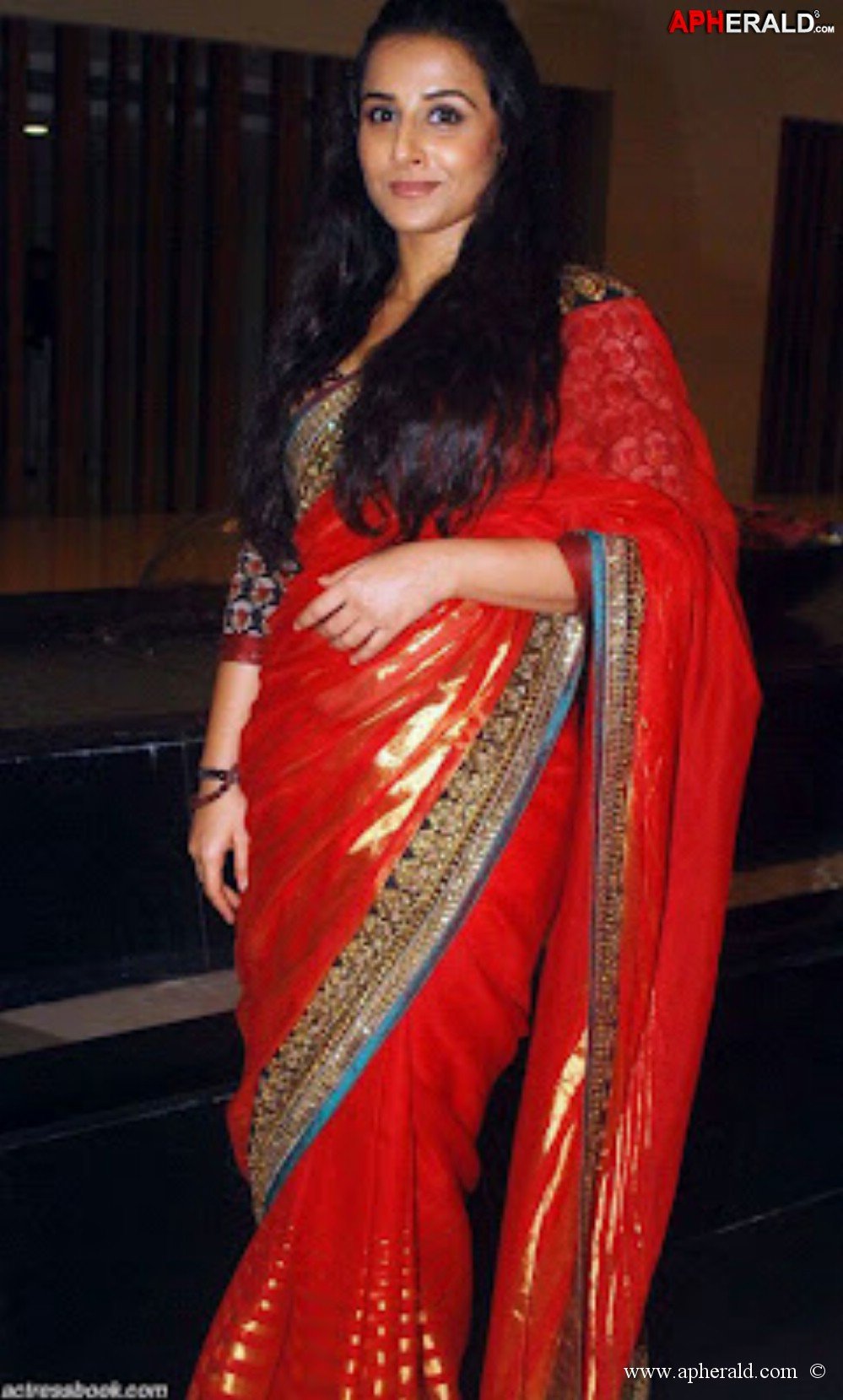 vidya balan hot in saree pics