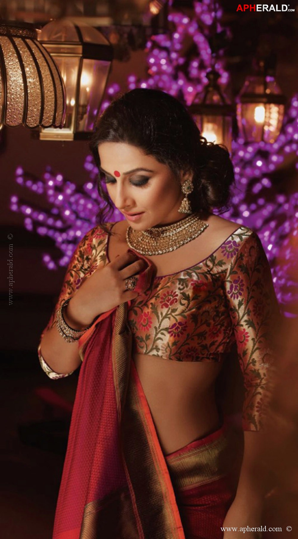 Vidya Balan Spicy Photos