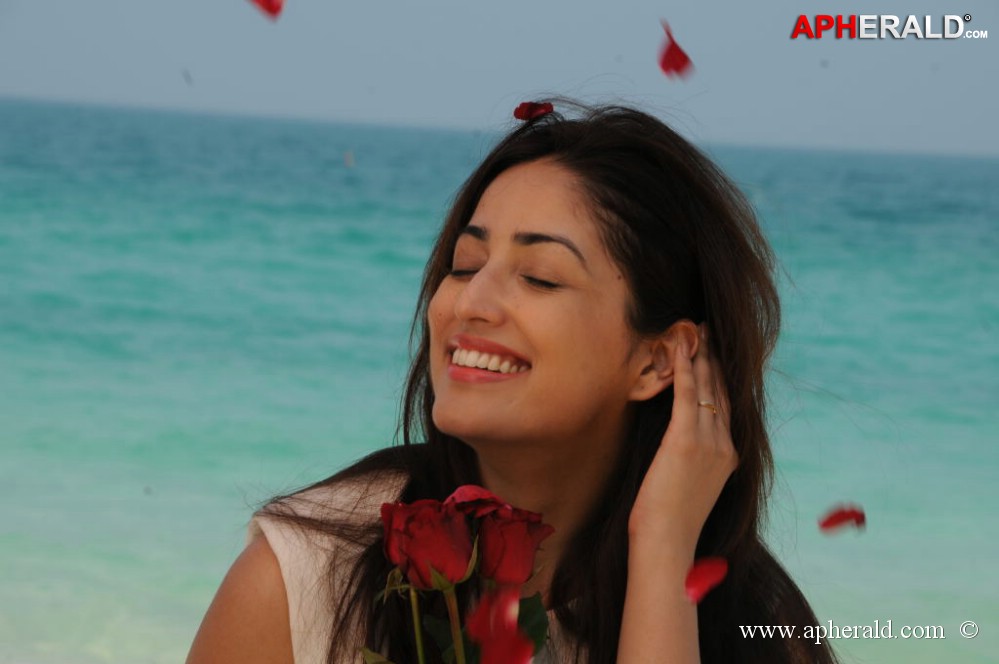 Yami Gautam New Photos