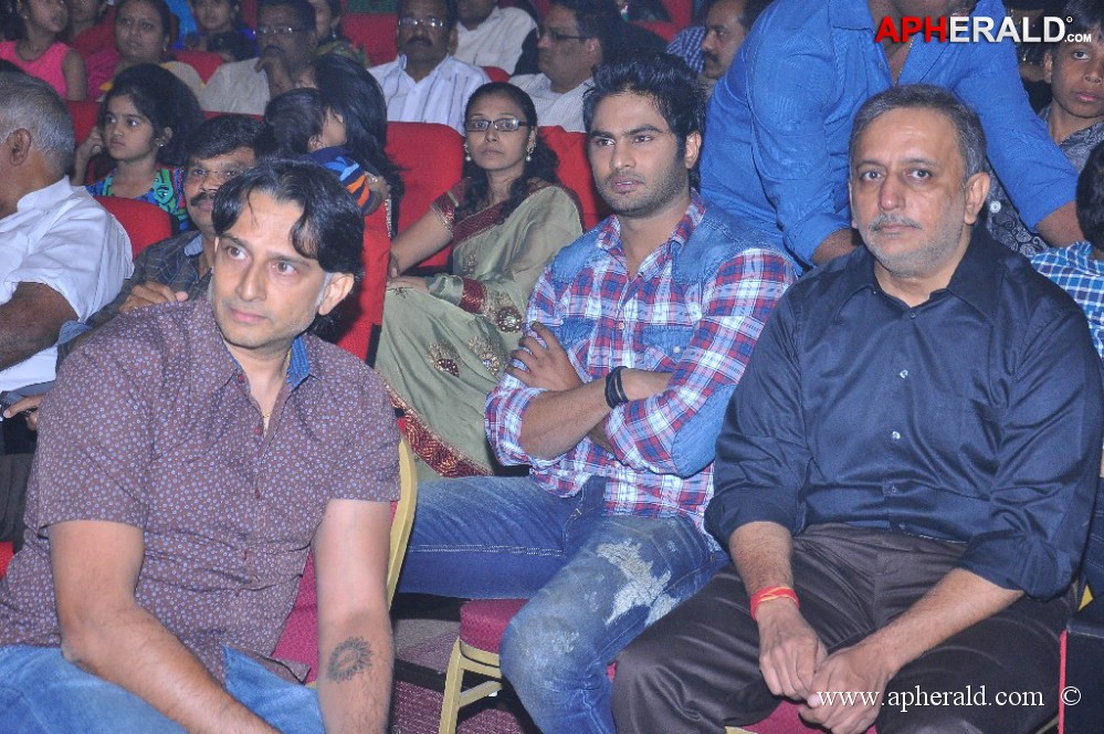 1 Nenokkadine Audio Launch 2