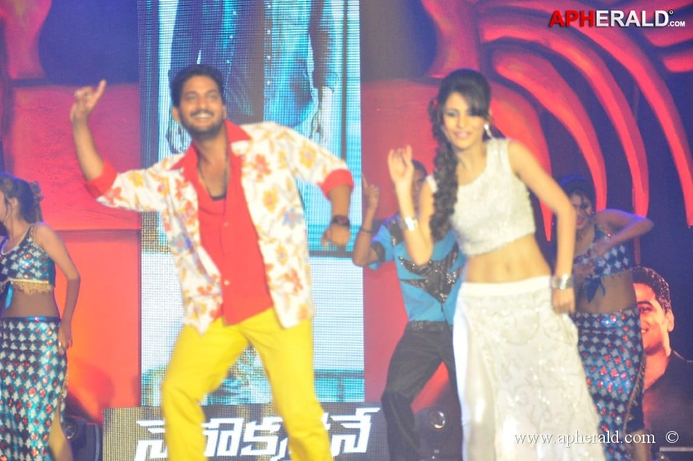 1 Nenokkadine Audio Launch 2