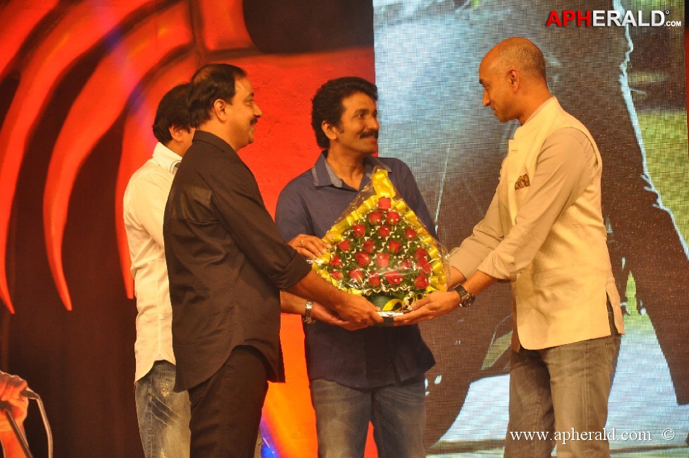 1 Nenokkadine Audio Launch 3