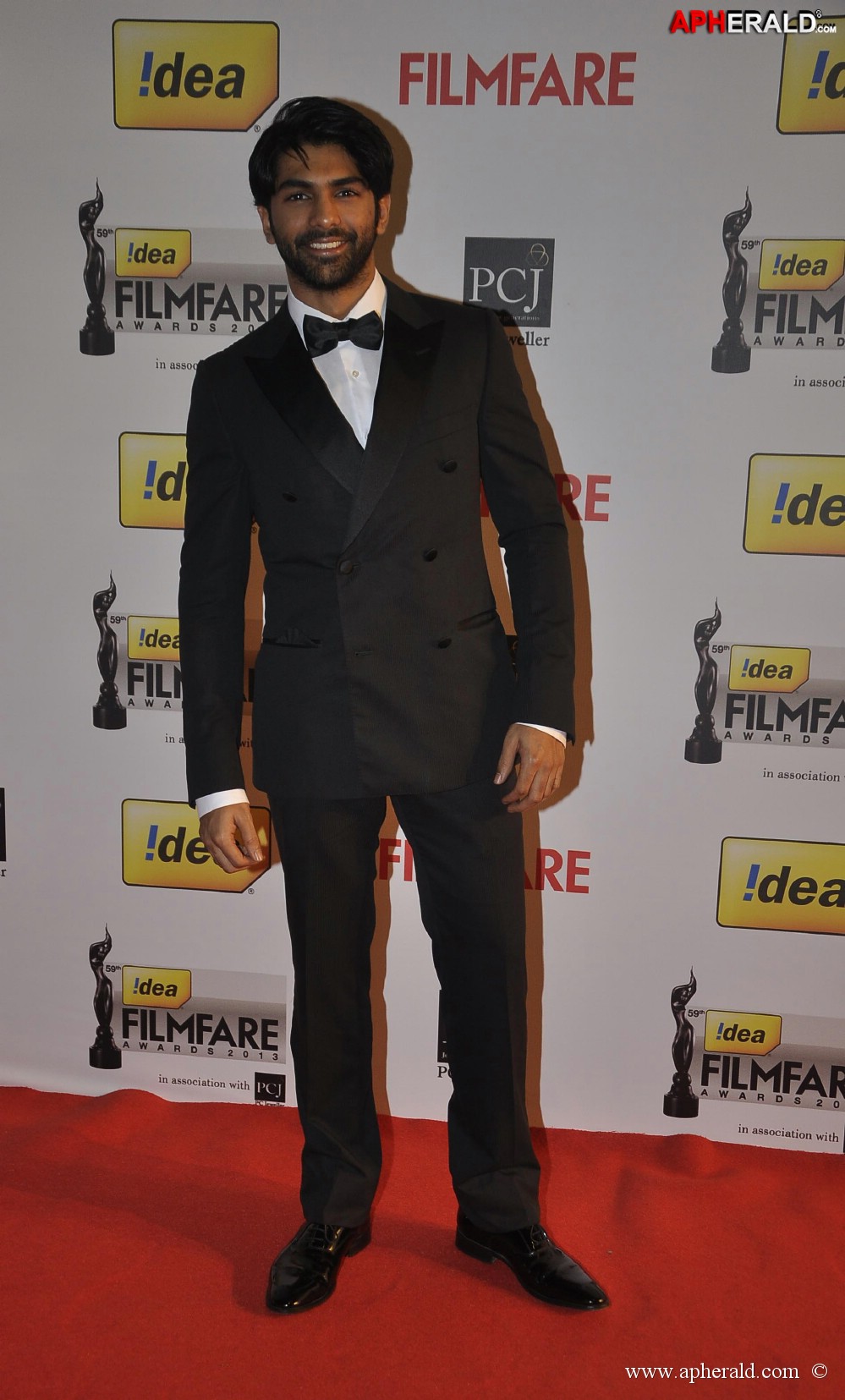 59th Idea Filmfare Awards 2013 Photos