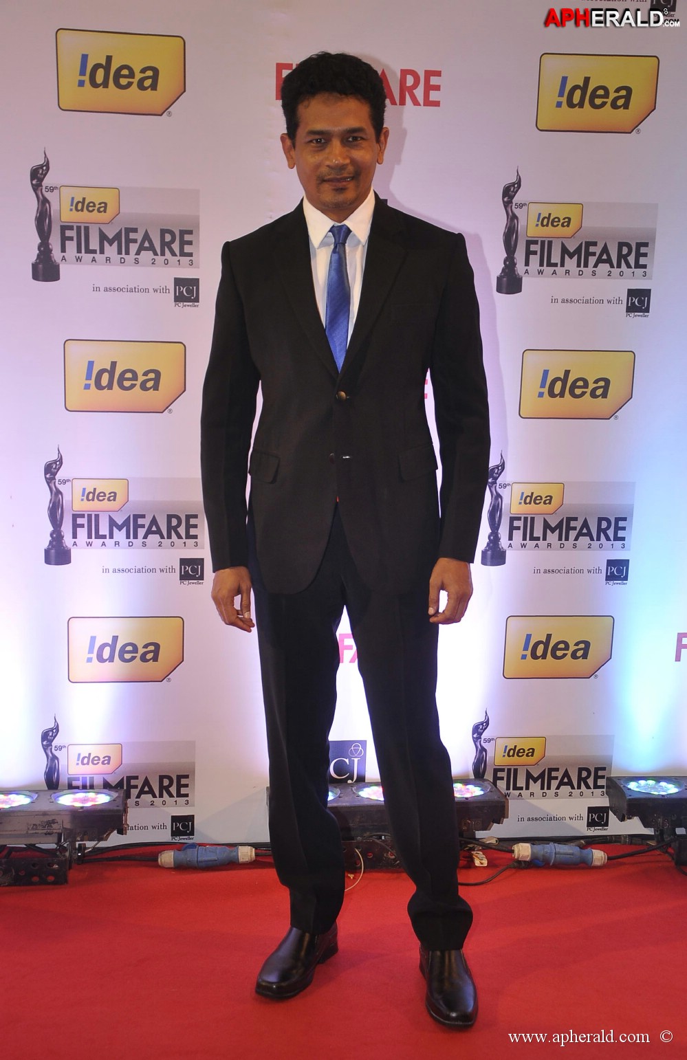 59th Idea Filmfare Awards 2013 Photos