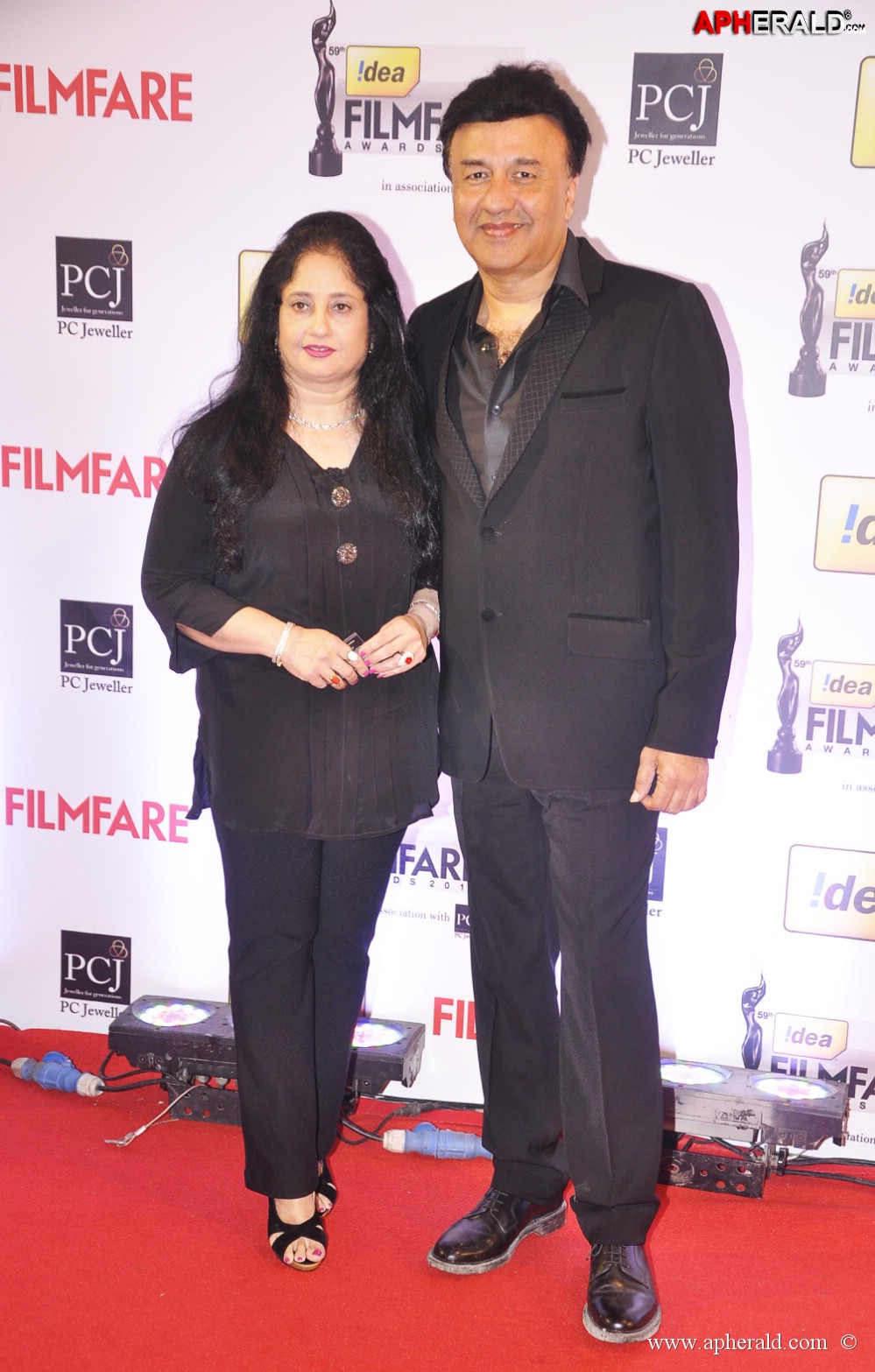 59th Idea Filmfare Awards 2013 Photos