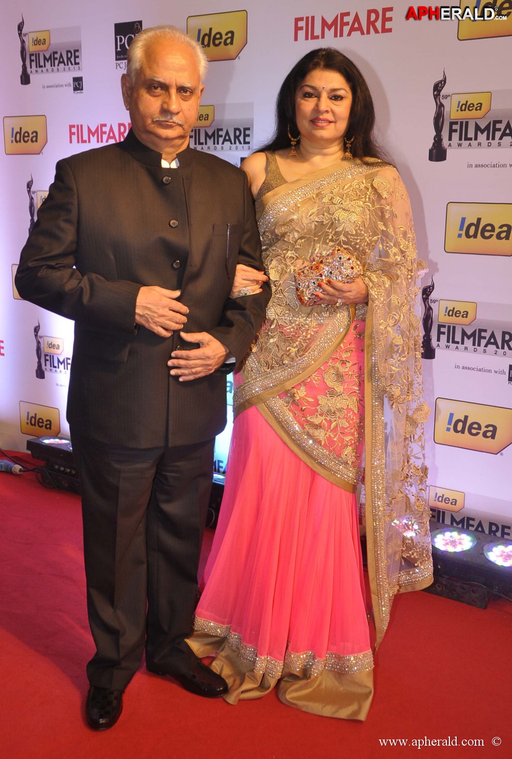 59th Idea Filmfare Awards 2013 Photos