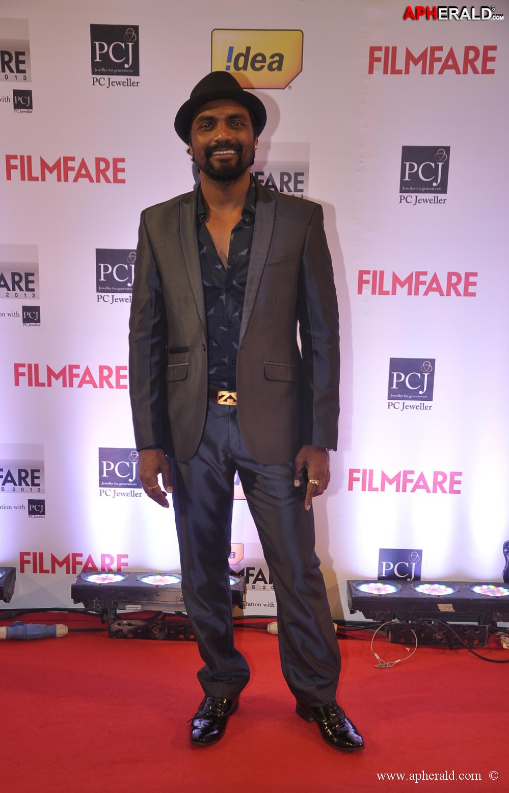 59th Idea Filmfare Awards 2013 Photos