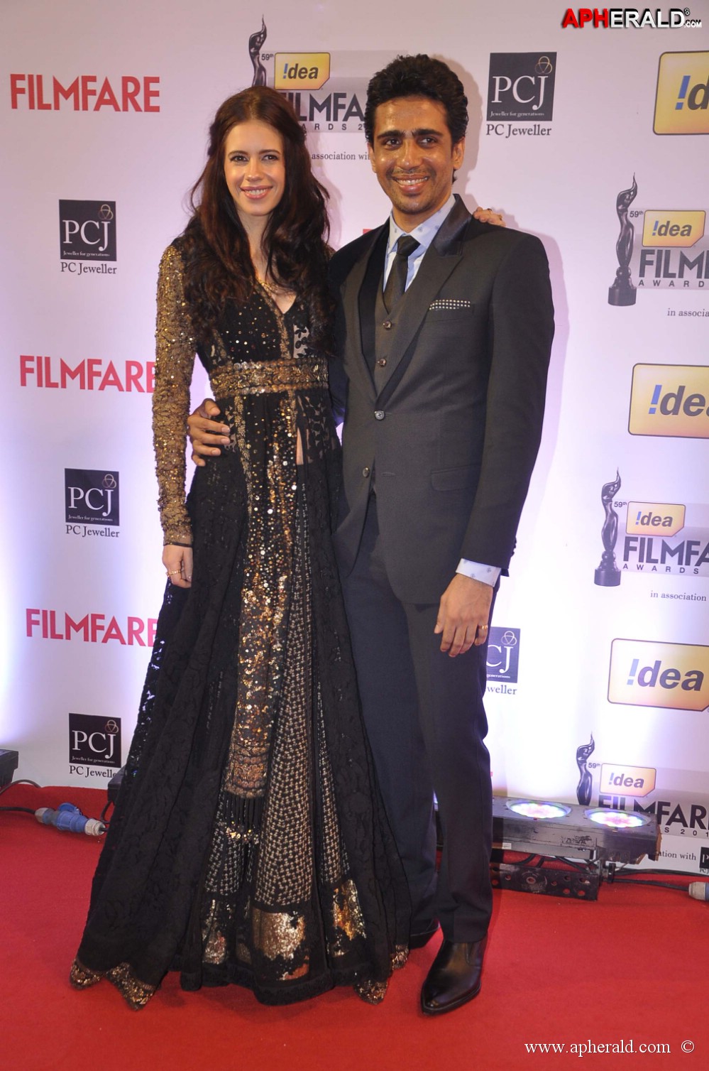 59th Idea Filmfare Awards 2013 Photos