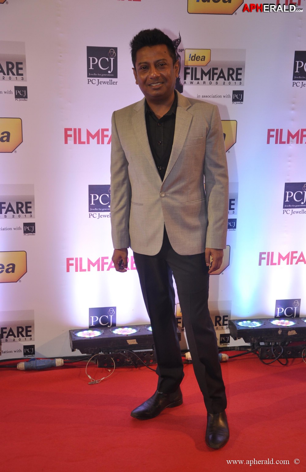 59th Idea Filmfare Awards 2013 Photos