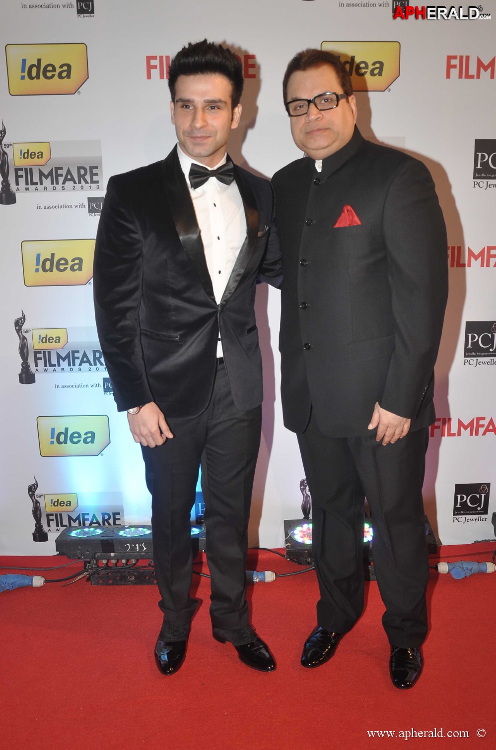 59th Idea Filmfare Awards 2013 Photos