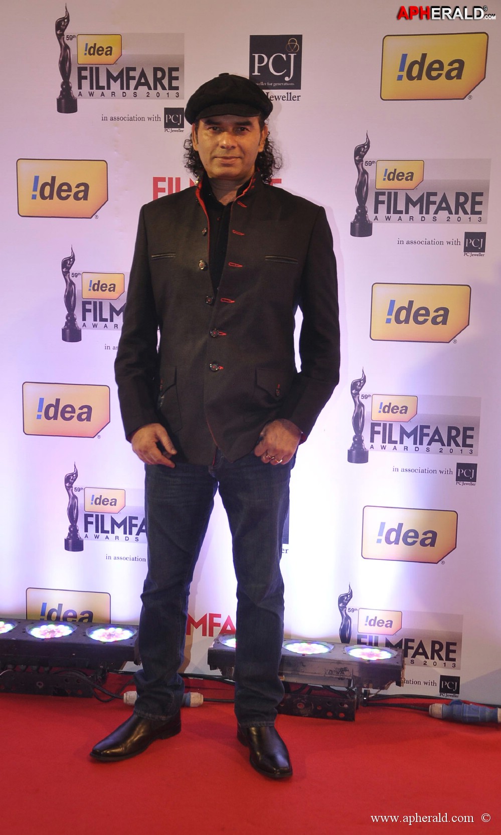 59th Idea Filmfare Awards 2013 Photos