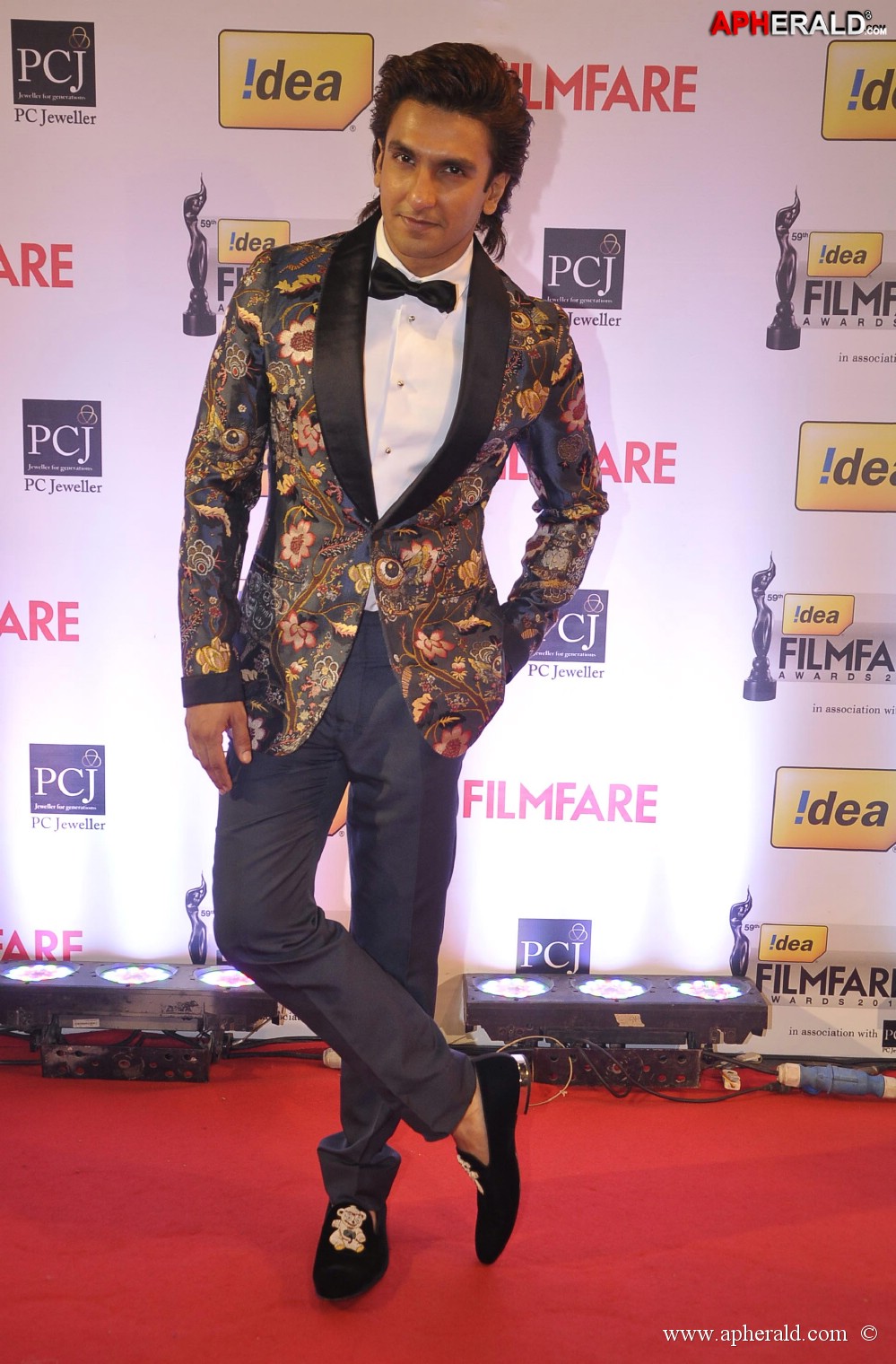 59th Idea Filmfare Awards 2013