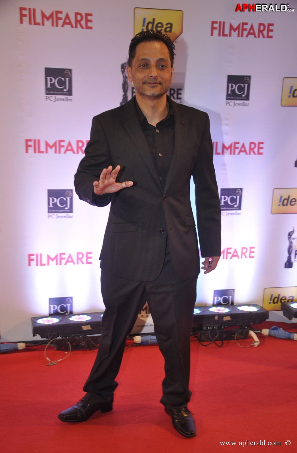 59th Idea Filmfare Awards 2013