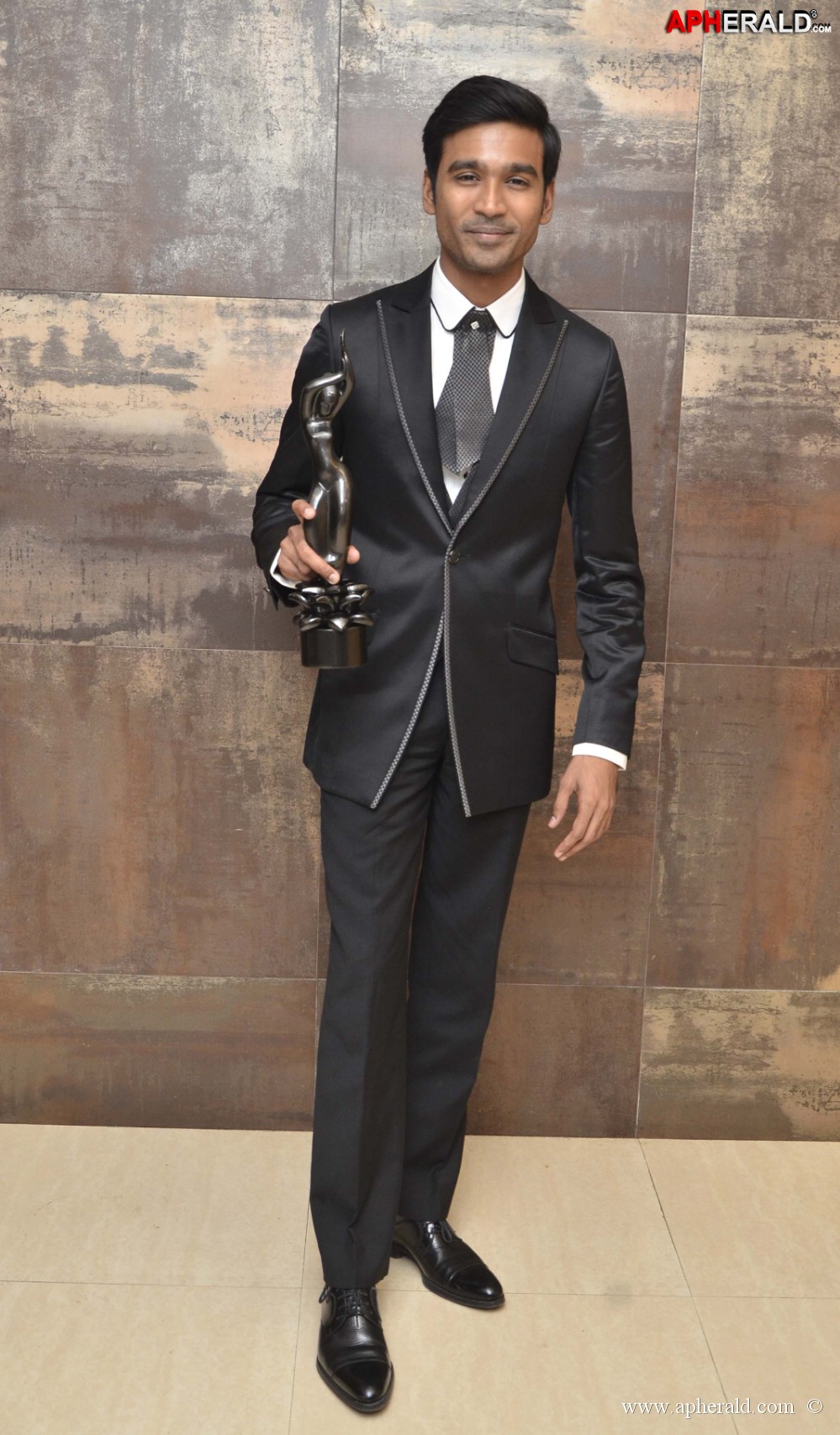 59th Idea Filmfare Awards 2013