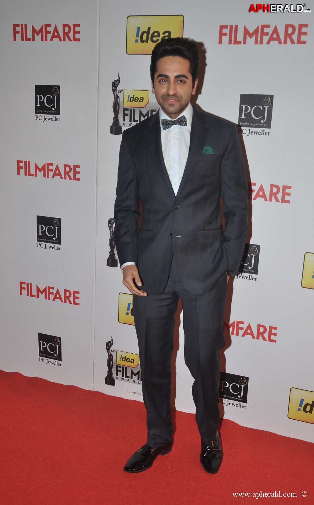 59th Idea Filmfare Awards 2013