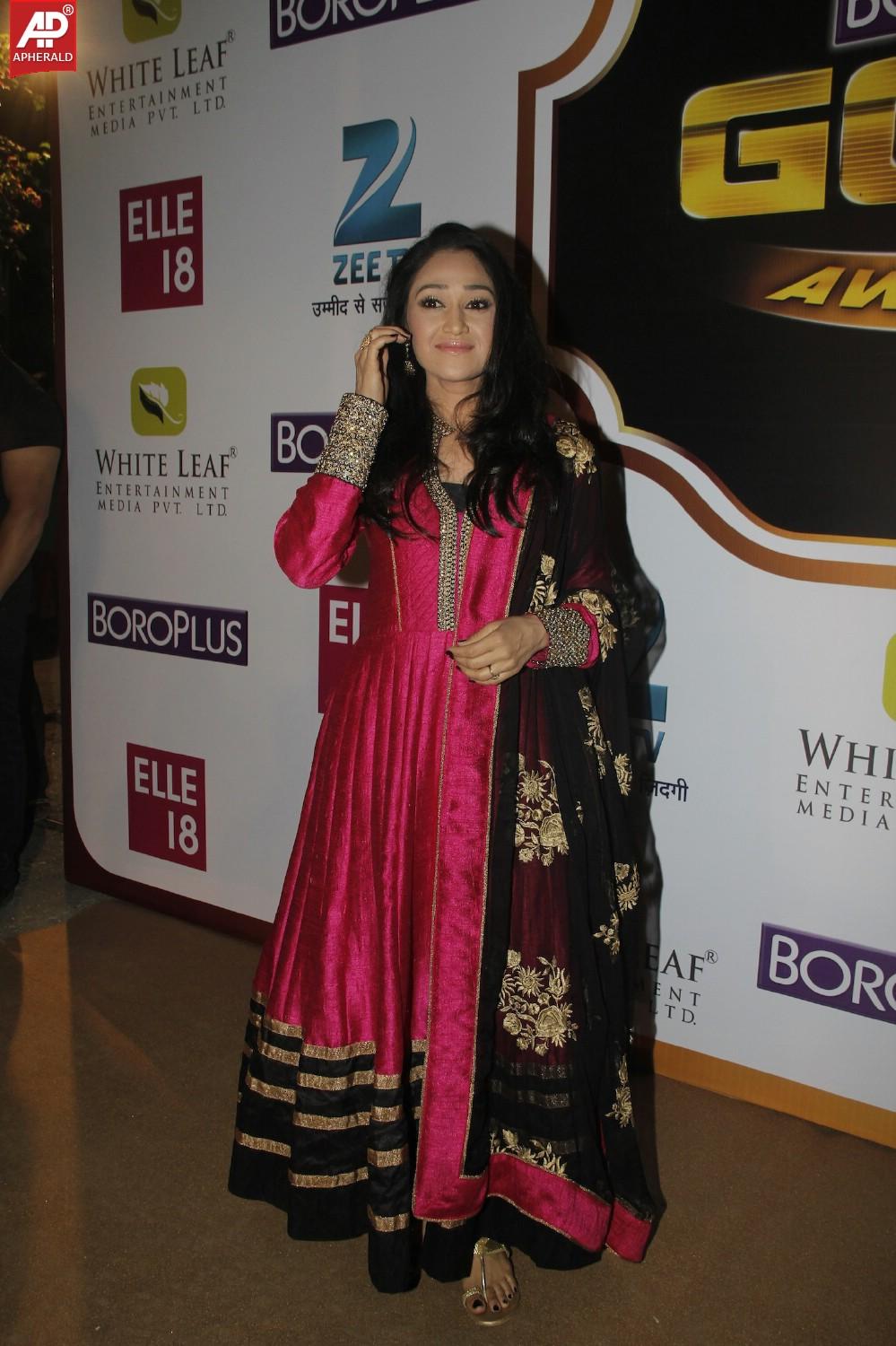 7th Boroplus Zee Gold Awards 2014