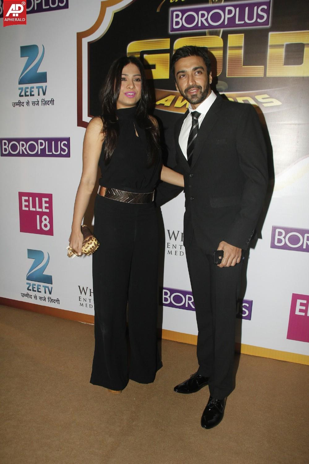 7th Boroplus Zee Gold Awards 2014