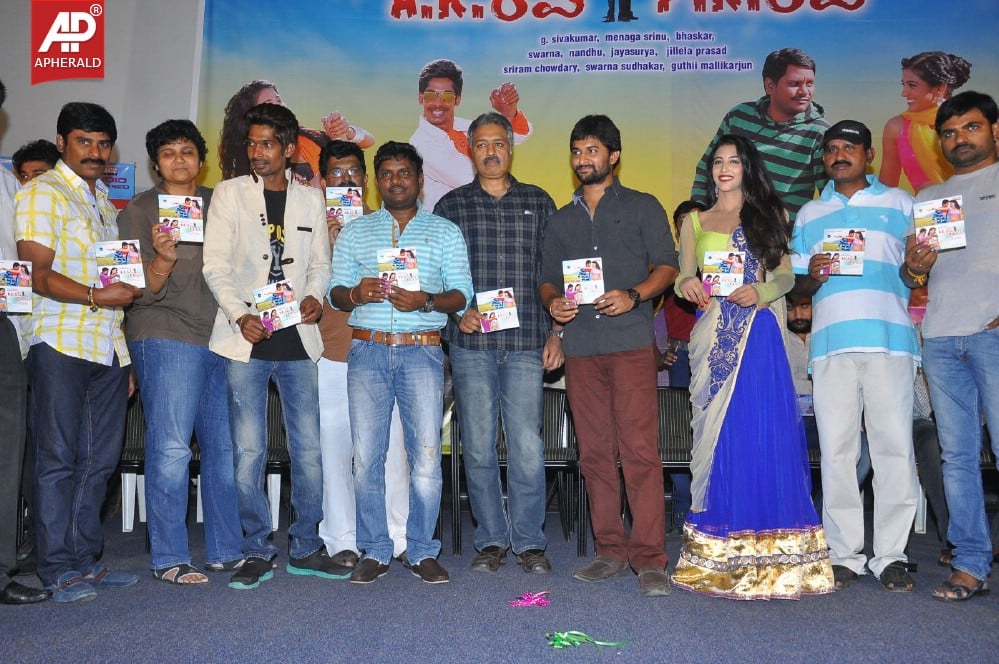 AK Rao PK Rao Movie Audio Launch
