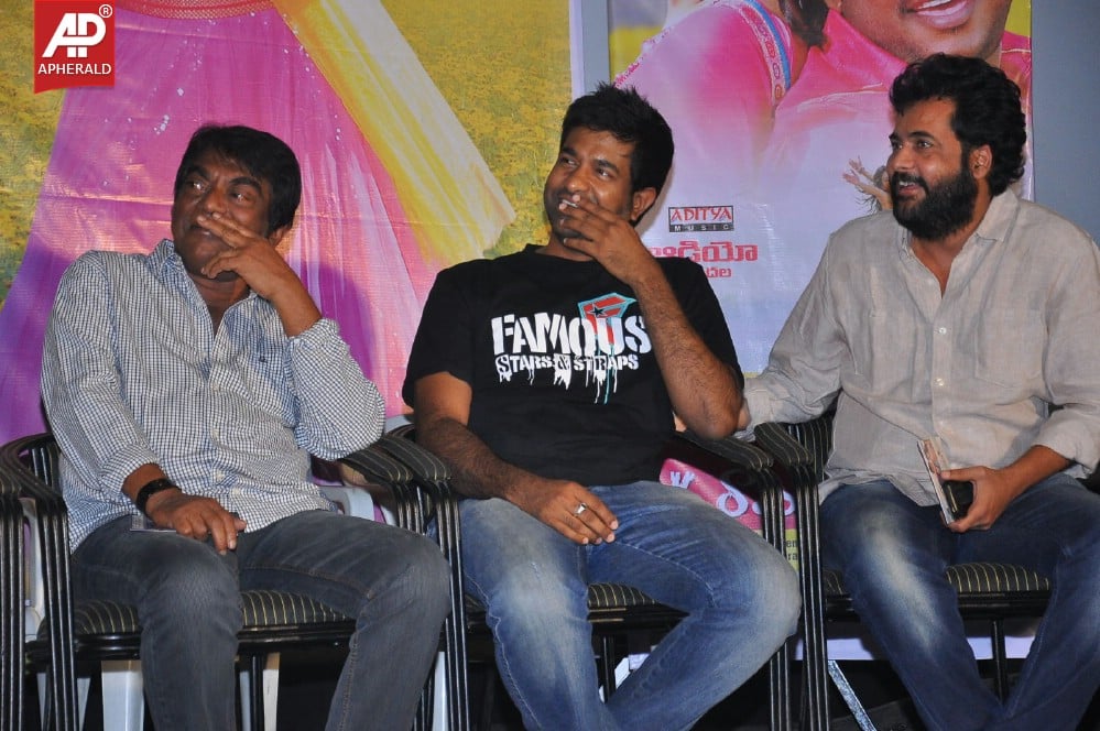 AK Rao PK Rao Movie Audio Launch