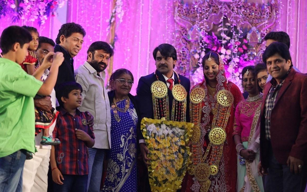 Ali Brother Khayum Wedding Reception