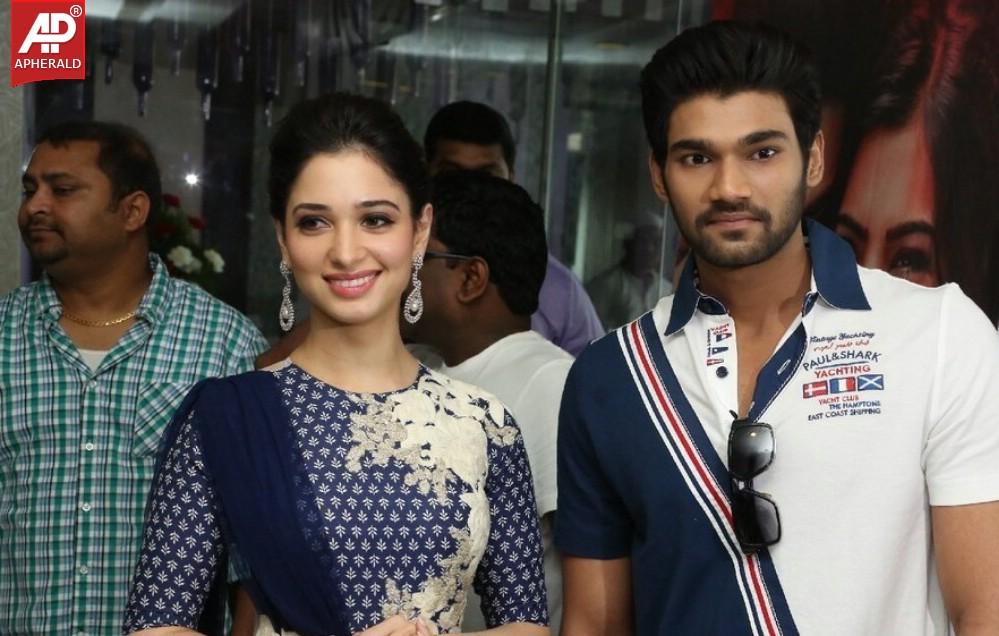 Alludu Seenu Platinum Disc Function