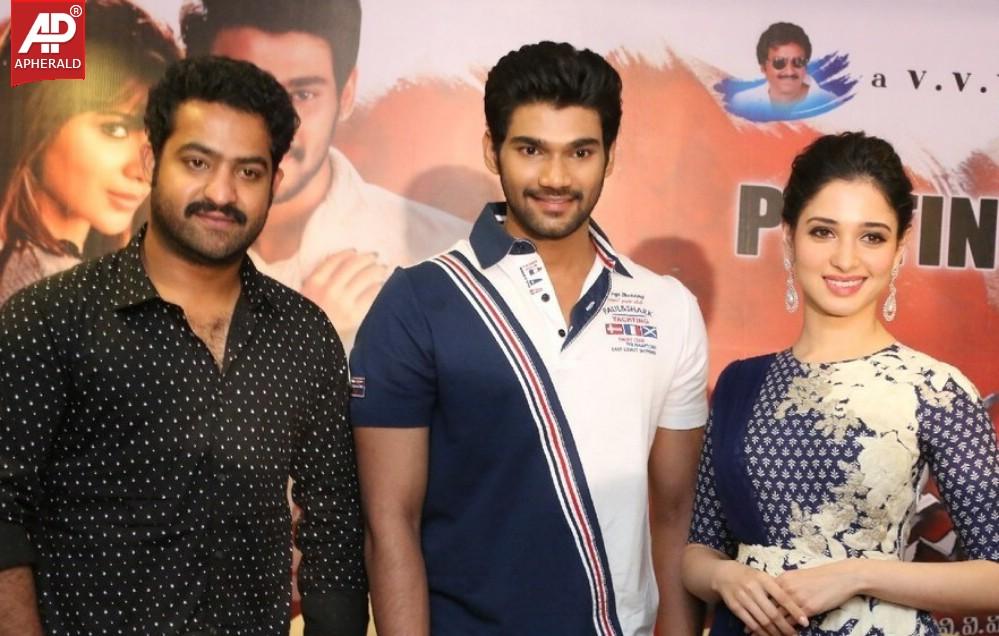 Alludu Seenu Platinum Disc Function