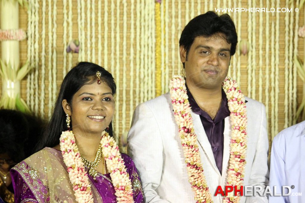 ALS Nachiappan Son Wedding Reception