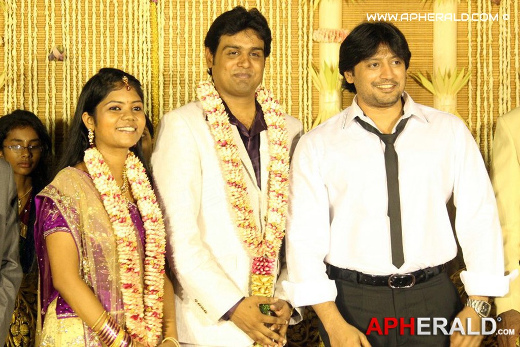 ALS Nachiappan Son Wedding Reception