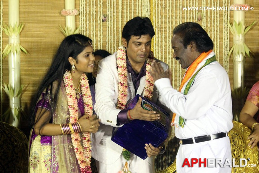 ALS Nachiappan Son Wedding Reception