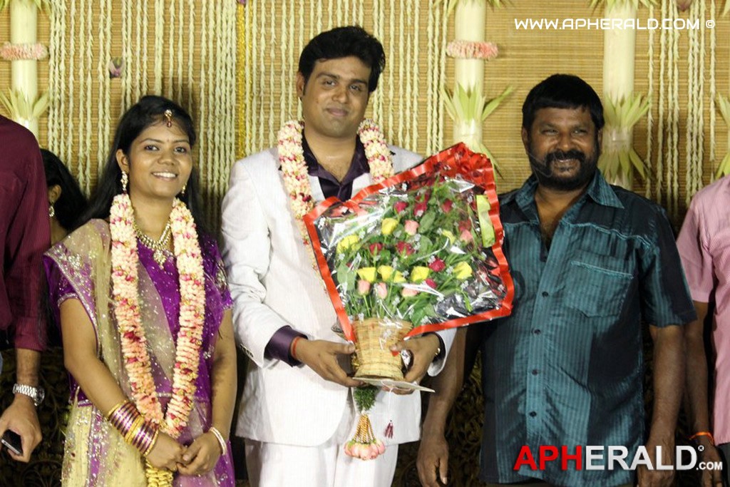 ALS Nachiappan Son Wedding Reception