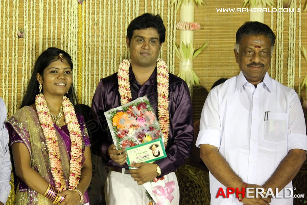 ALS Nachiappan Son Wedding Reception