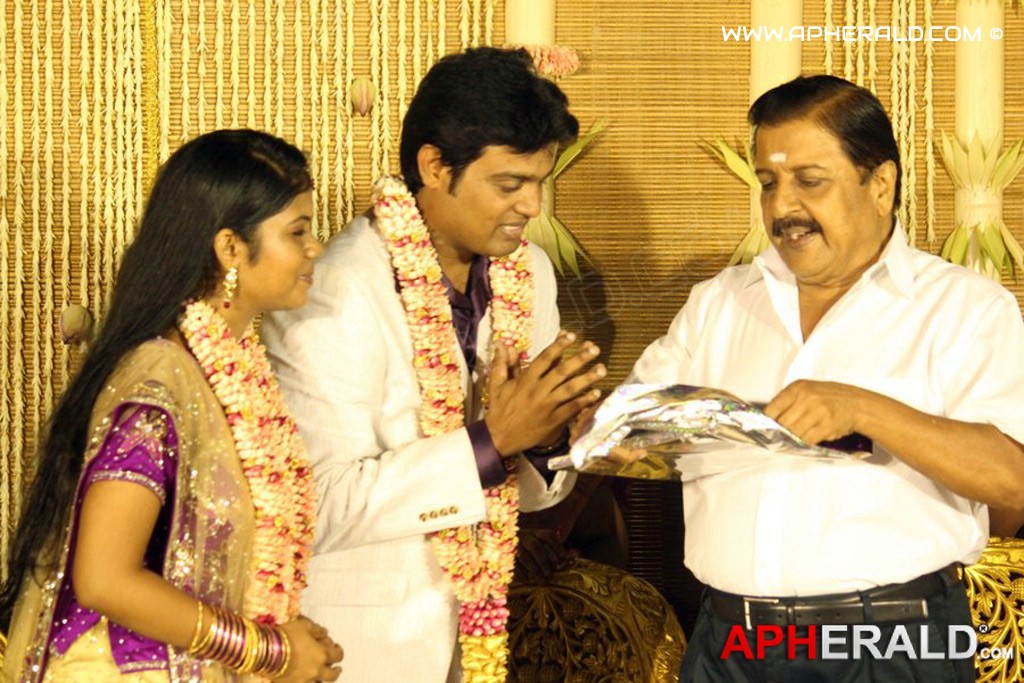 ALS Nachiappan Son Wedding Reception