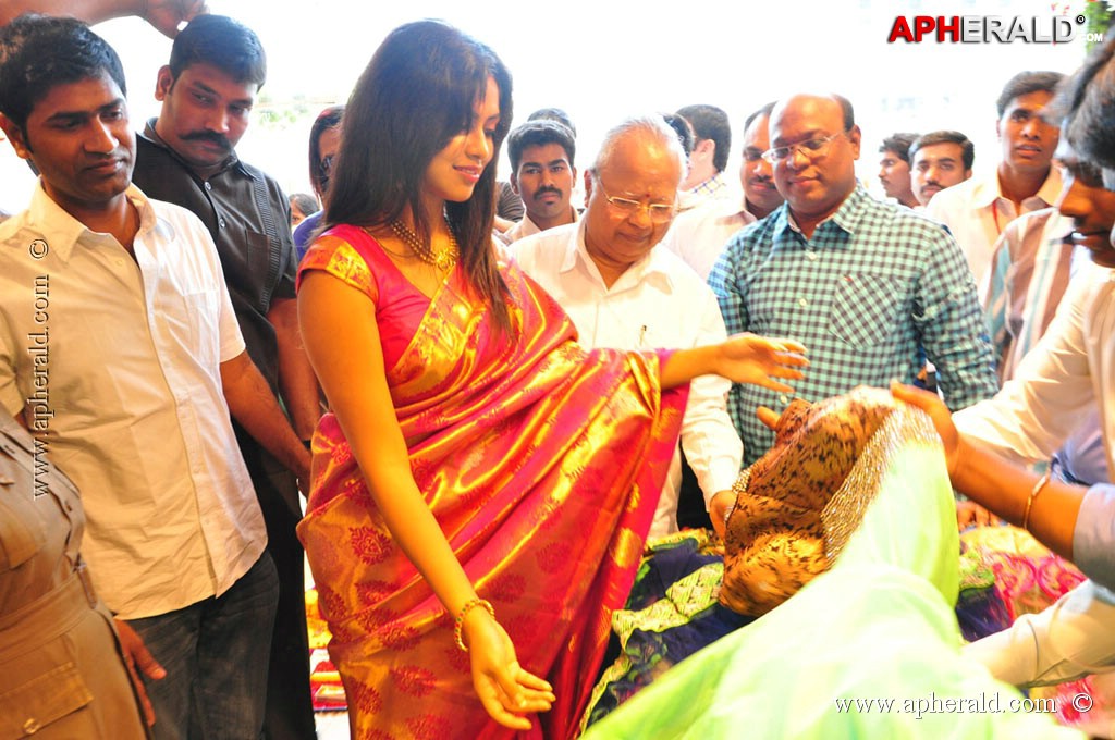 Amala Paul Launch Kalanikethan