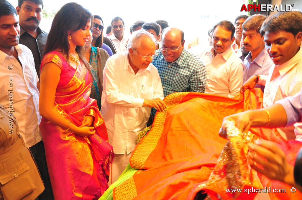 Amala Paul Launch Kalanikethan
